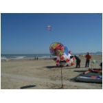 Senigallia 2008