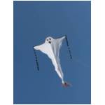 Cupra Marittima 2006