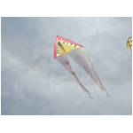 Cupra Marittima 2006