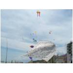 Cupra Marittima 2006