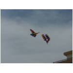 Cupra Marittima 2006