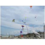 Cupra Marittima 2006