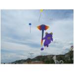 Cupra Marittima 2006