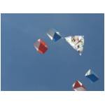 Cupra Marittima 2006