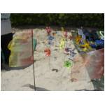 Cupra Marittima 2006