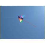 Cupra Marittima 2006