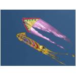 Cupra Marittima 2006