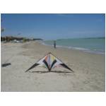 Cupra Marittima 2006