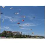 Cupra Marittima 2006