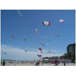 Cupra Marittima 2006