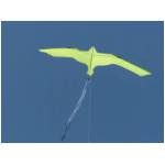 Cupra Marittima 2006