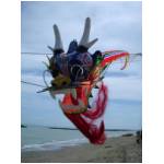 Cupra Marittima 2006