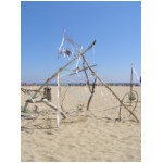 Cervia 2007