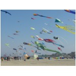 Cervia 2007