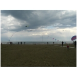 Rimini 2008