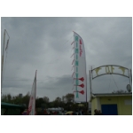 Rimini 2008