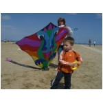 Rimini 2008