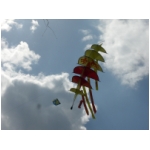 Rimini 2008