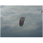 Rimini 2008