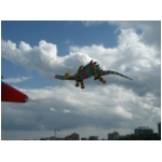 Rimini 2008