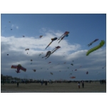 Rimini 2008