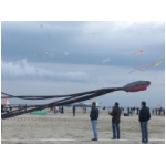 Rimini 2008