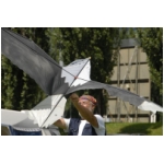 Lienz 2008