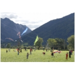 Lienz 2008