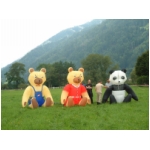 Lienz 2008