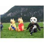 Lienz 2008
