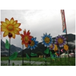 Lienz 2008