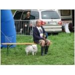 Lienz 2008