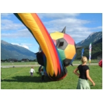 Lienz 2008