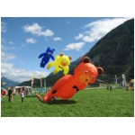 Lienz 2008