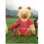Lienz 2008