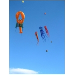 Lienz 2008