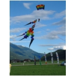 Lienz 2008