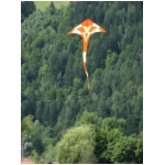 Lienz 2008