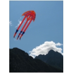 Lienz 2008