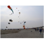 Cervia 2009