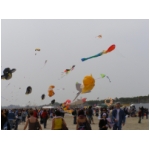 Cervia 2009