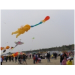 Cervia 2009