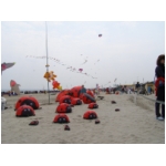 Cervia 2009
