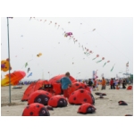 Cervia 2009