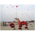 Cervia 2009