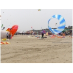 Cervia 2009