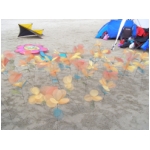 Cervia 2009