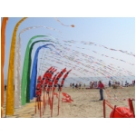 Cervia 2009