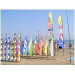 Cervia 2009