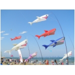 Cervia 2009